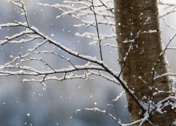 Rriten lehtë temperaturat, moti për ditën e parë të 2022