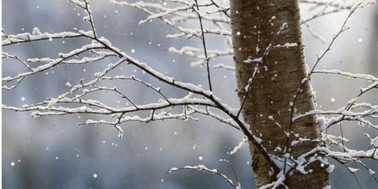 Rriten lehtë temperaturat, moti për ditën e parë të 2022