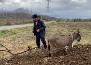 Euronews: Nafta shumë e shtrenjtë, toka në Shqipëri punohet si në mesjetë (VIDEO)