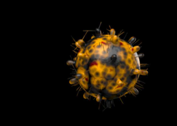 Një shpjegim shkencor pse Omicron infekton më shumë