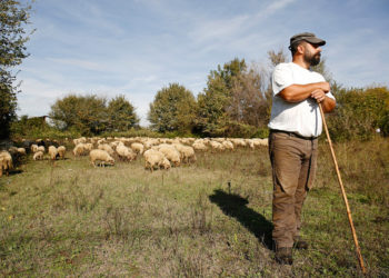 Çobani më i lumtur në Greqi/ Shkoi në market për të blerë, brenda enës plastike merr 50 mijë euro. Ja çfarë ndodhi më tej