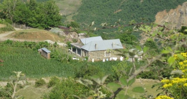 Shefat e kuzhinës: Menyja e 100 fshatrave duhet ‘gatuar’ nga historianët e kulinarisë