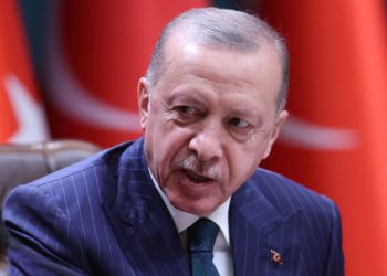 Çmenduri, 5 persona arrestohen në Turqi sepse bënë komente negative për Erdoganin e infektuar me Covid