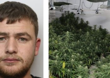 “Më detyruan të punoj këtu”, 25 vjeçari shqiptar kapet brenda shtëpisë së barit në Britani