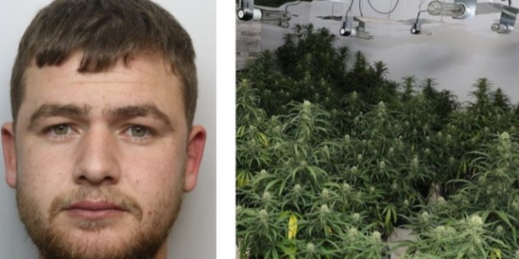 “Më detyruan të punoj këtu”, 25 vjeçari shqiptar kapet brenda shtëpisë së barit në Britani