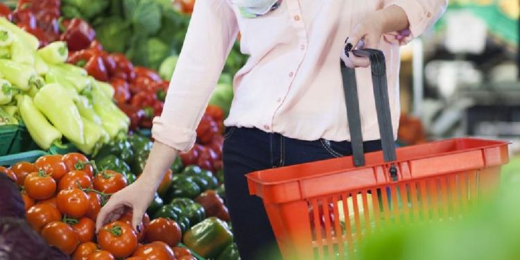 30 lekë domatja në Lushnje, deri në 170 lekë në Tiranë. Pse krijohet kjo diferencë e madhe nga fermeri e konsumatori?