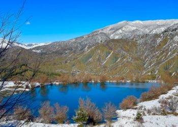 Bredhi i Hotovës-Dangëlli, pyjet e larta nën “magjinë” e dëborës (FOTO)