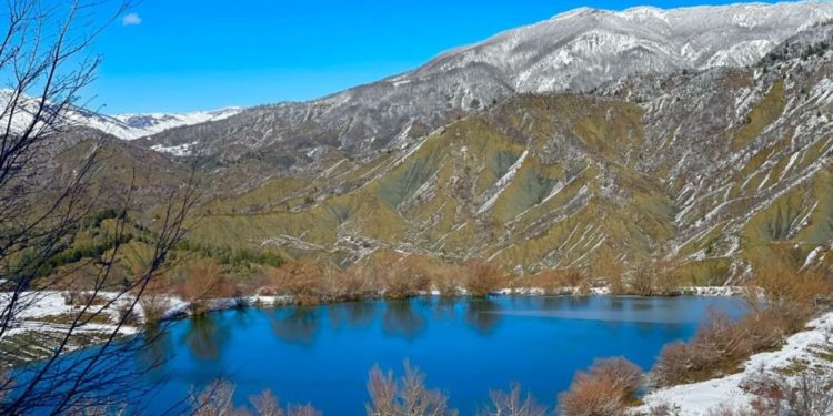 Bredhi i Hotovës-Dangëlli, pyjet e larta nën “magjinë” e dëborës (FOTO)