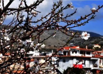 Keni plane për fundjavën? Moti merr kthesën e papritur