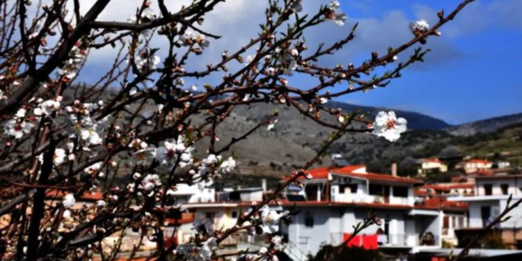 Keni plane për fundjavën? Moti merr kthesën e papritur