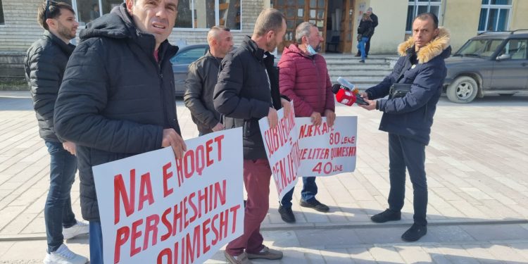 “Na e hoqët përsheshin me qumësht…”, protestojnë fermerët në Përmet: Do t’i shesim bagëtitë, do largohemi nga Shqipëria
