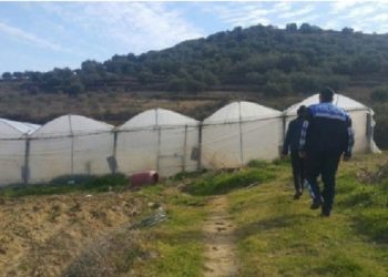 Policia zbarkon në Vlorë, nisin kontrollet për “shtëpi bari”