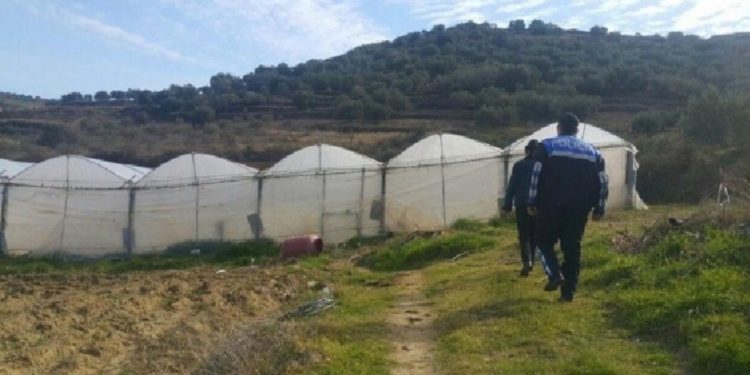 Policia zbarkon në Vlorë, nisin kontrollet për “shtëpi bari”