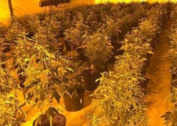 Zbulohen 6 “shtëpi bari”, goditet grupi shqiptar në Spanjë, 10 të arrestuar