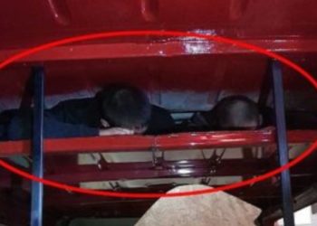 25 mijë paundë për të kaluar kufirin me kamion drejt Britanisë, dy vajza dhe dy djem arrestohen për trafikim shqiptarësh