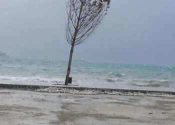 ‘Çmendet’ moti në bregdet, priten erëra të forta dhe dallgë 8 ballë, pezullohet lundrimi