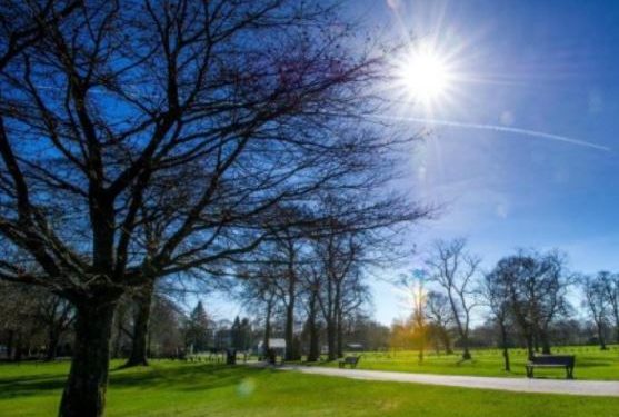 Erdhi pranvera, rriten temperaturat javën e ardhshme