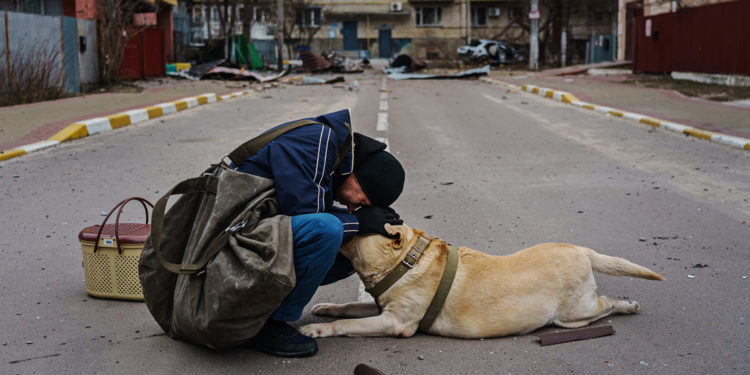 Foto sa 1 mijë fjalë, burri qetëson qenin e tmerruar nga bombardimet ruse