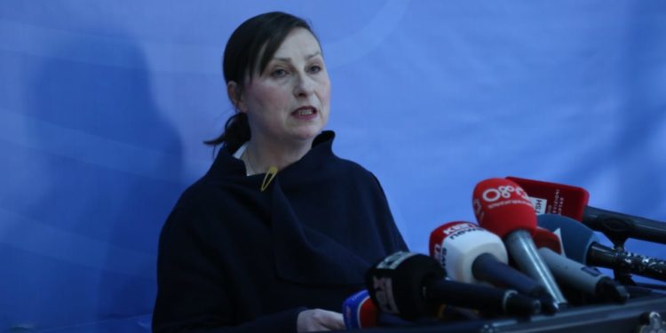 Zyrtare/ Deri më tani 340 mijë shpendë kanë ngordhur në Shqipëri