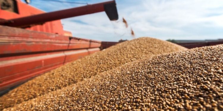 Alarmi nga shërbimi sekret i Ukrainës: Rusia po përgatit planin të lërë pa bukë disa vende të botës