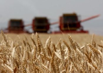 Preket edhe Shqipëria, OKB paralajmëron shtrenjtim tjetër të ushqimeve