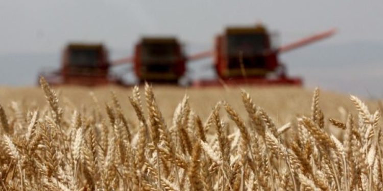 Preket edhe Shqipëria, OKB paralajmëron shtrenjtim tjetër të ushqimeve