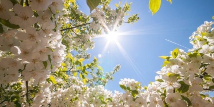 Erdhi pranvera, temperaturat nga sot pësojnë rritje të madhe