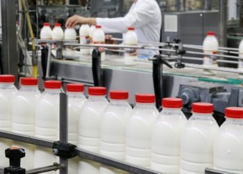 Pas bukës rritet edhe çmimi i qumështit në Shqipëri