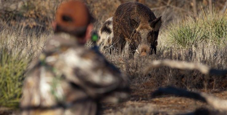 Zgjatet për 5 vite moratoriumi i gjuetisë
