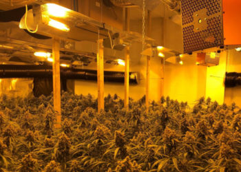 Zbulohet “shtëpia e barit” në Spanjë, 15 shqiptarë në pranga