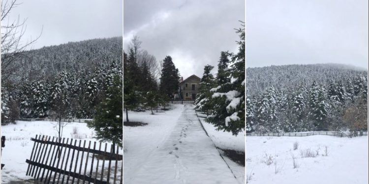 Përmet, bora zbardh sërish Parkun Kombëtar “Bredhi i Hotovës – Dangëlli”