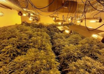 Dy shqiptarë në Spanjë arrestohen në “shtëpi bari”