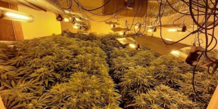 Dy shqiptarë në Spanjë arrestohen në “shtëpi bari”