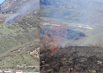 I vuri flakën kullotave, arrestohet 59-vjeçari në Gjirokastër
