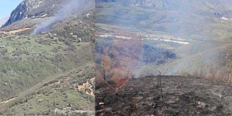 I vuri flakën kullotave, arrestohet 59-vjeçari në Gjirokastër