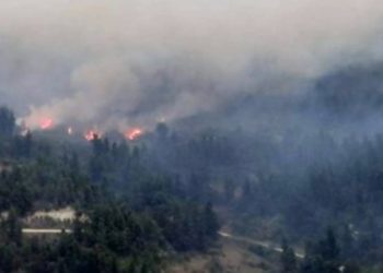 Zjarr i madh në Greqi, luftë për të shuar flakët