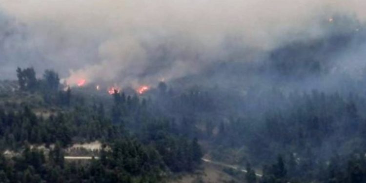 Zjarr i madh në Greqi, luftë për të shuar flakët