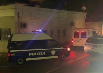 Trafikonin 11 klandestinë, dy të arrestuar në Gjirokastër (VIDEO)