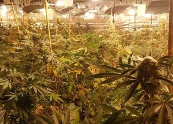 “Shtëpi bari” në Peruxhia, dështon plani djallëzor i 26-vjeçarit shqiptar: Çfarë i gjetën Karabinierët