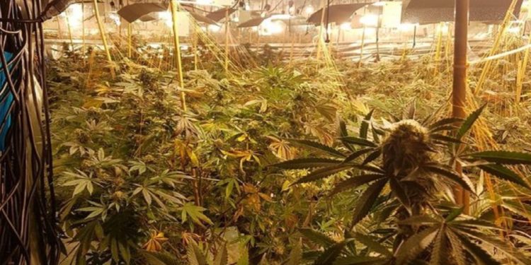 “Shtëpi bari” në Peruxhia, dështon plani djallëzor i 26-vjeçarit shqiptar: Çfarë i gjetën Karabinierët