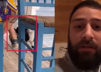 I riu shqiptar në Greqi “lë nam”, godet me shkelm macen dhe e hedh në det. Arrestohet nga policia (VIDEO)