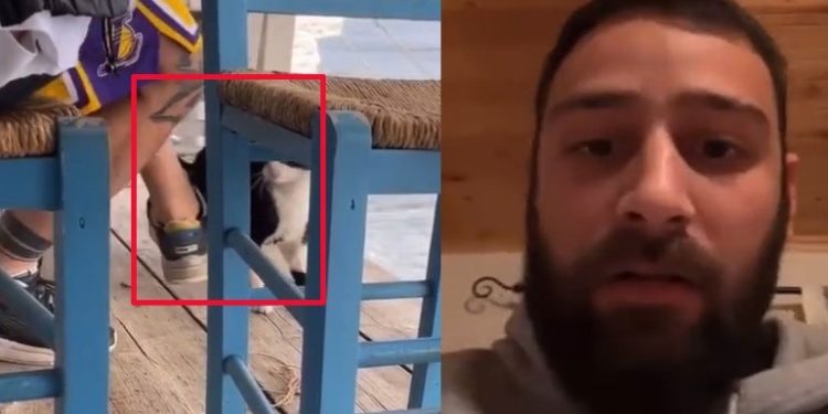 I riu shqiptar në Greqi “lë nam”, godet me shkelm macen dhe e hedh në det. Arrestohet nga policia (VIDEO)