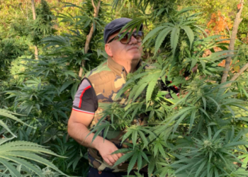 Artan Hoxha shpjegon pse janë shtuar “shtëpitë e barit” në Shqipëri