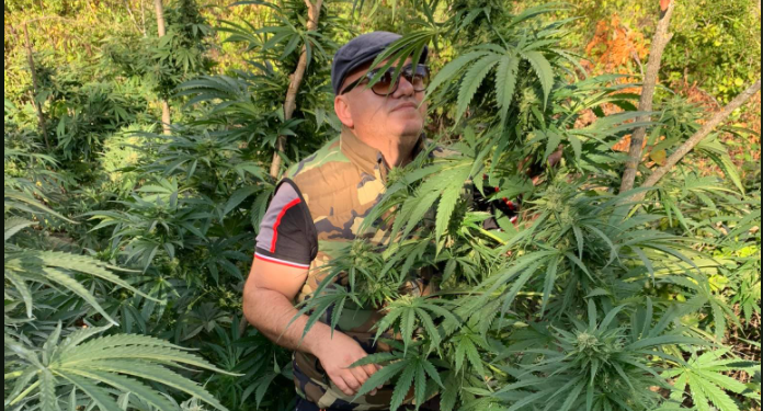 Artan Hoxha shpjegon pse janë shtuar “shtëpitë e barit” në Shqipëri