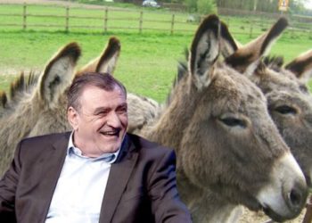 Gon Duka: Bashkë me njerëzit kanë ikur edhe lopët. Vetëm gomerët nuk kanë pësuar rënie