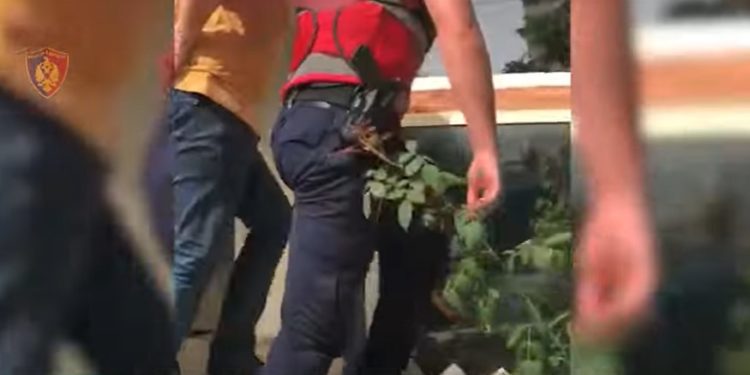 Arrestohet trafikanti në Sarandë, po transportonte klandestinë me “Volvo”