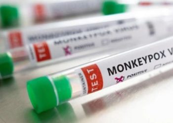 Dy raste me linë e majmunëve në Greqi, ja çfarë thonë autoritetet