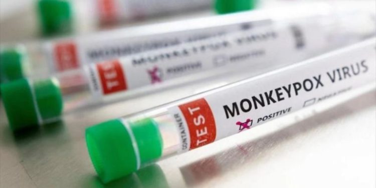 Dy raste me linë e majmunëve në Greqi, ja çfarë thonë autoritetet