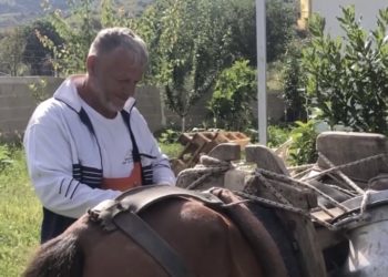 Gjirokastër/Blegtorët drejt falimentimit, shkak çmimet e larta