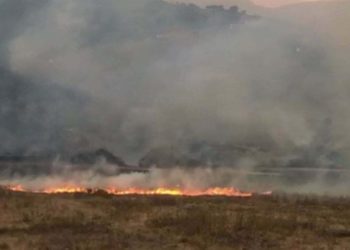 Zjarr masiv në fshatin Qesarat të Gjirokastrës